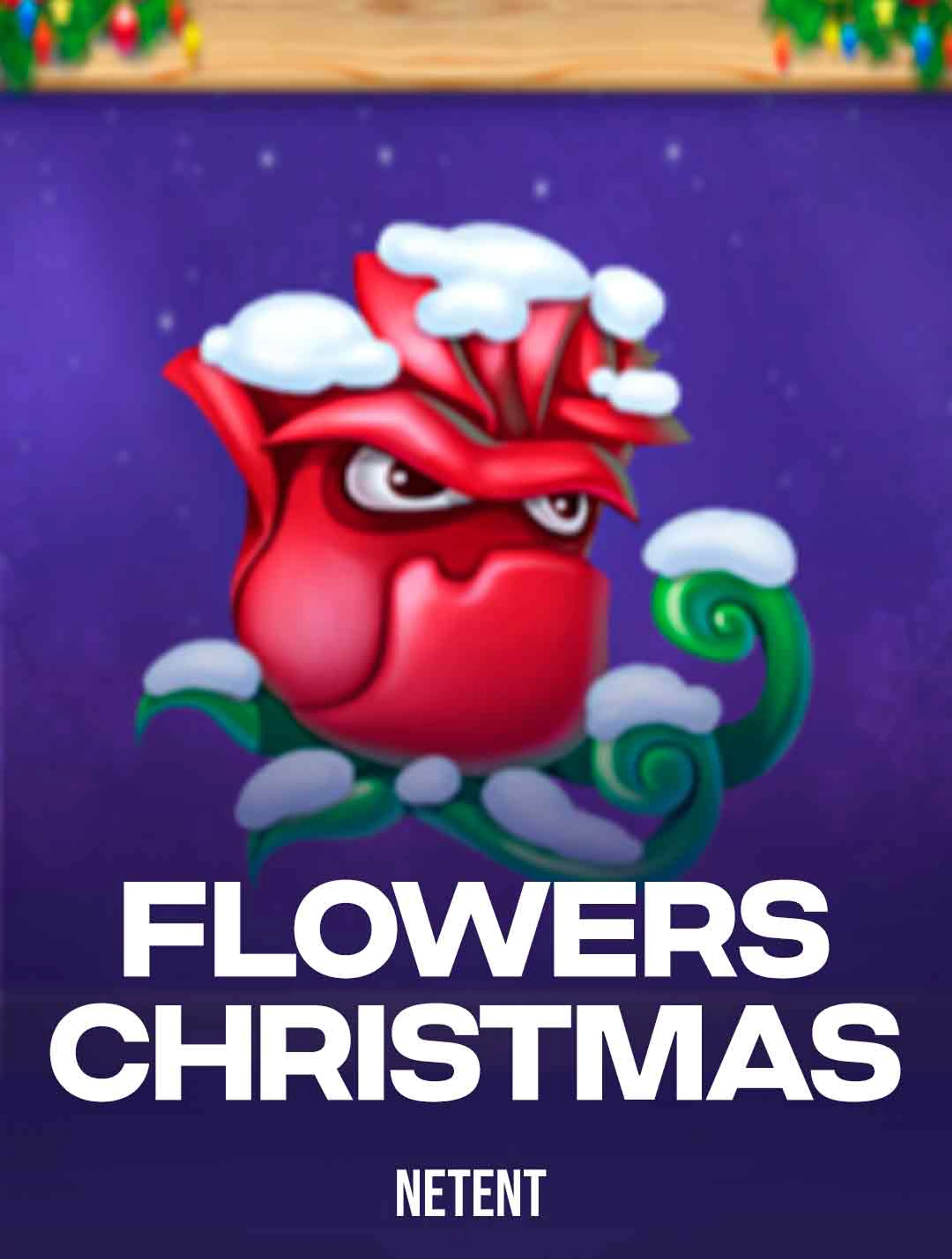 Flowers Christmas